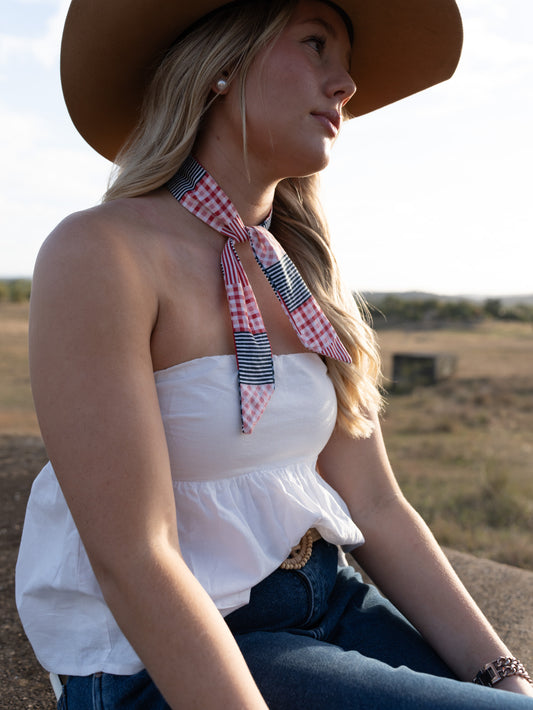 Ging N Stripes Neck Tie