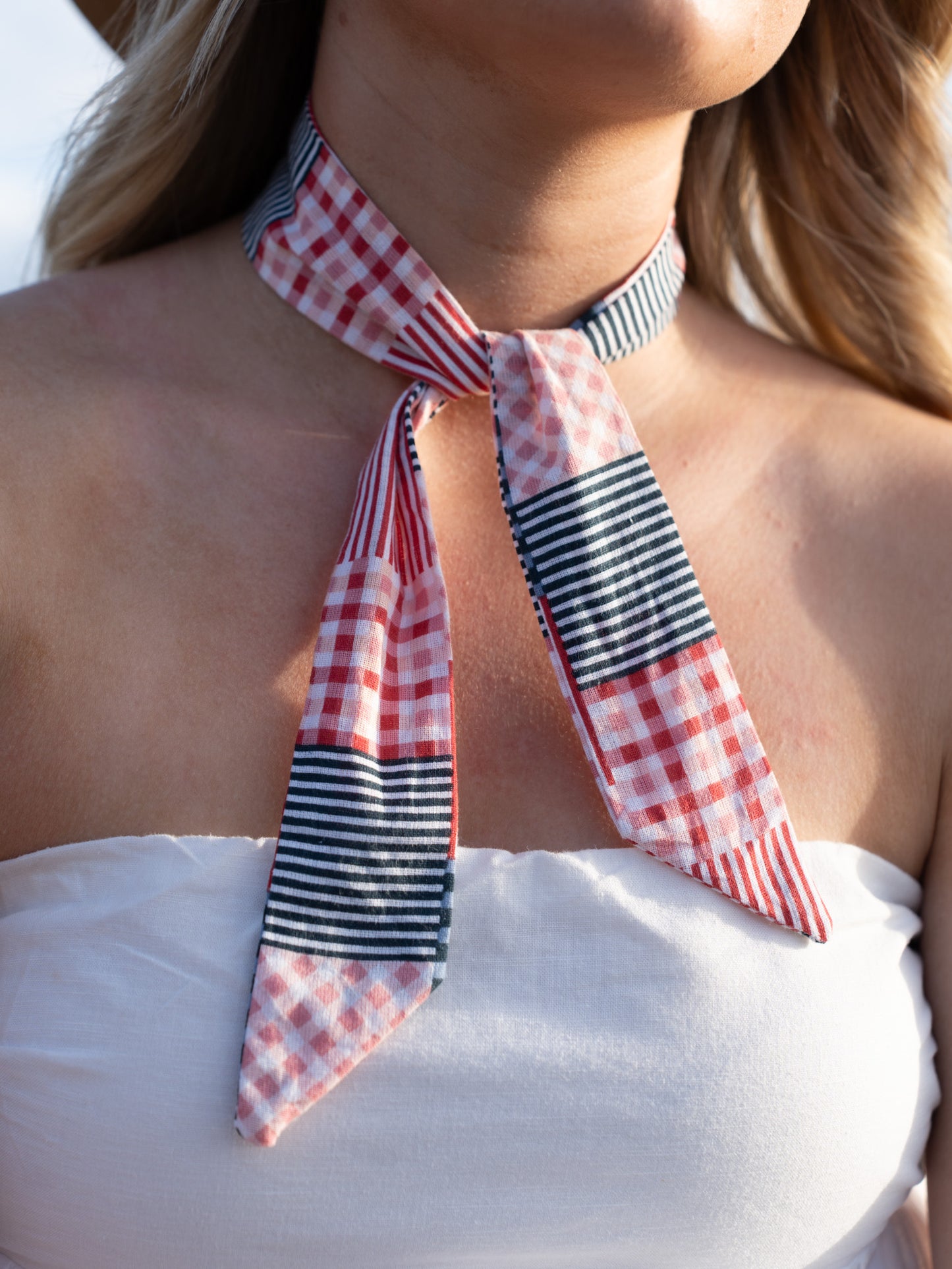 Ging N Stripes Neck Tie